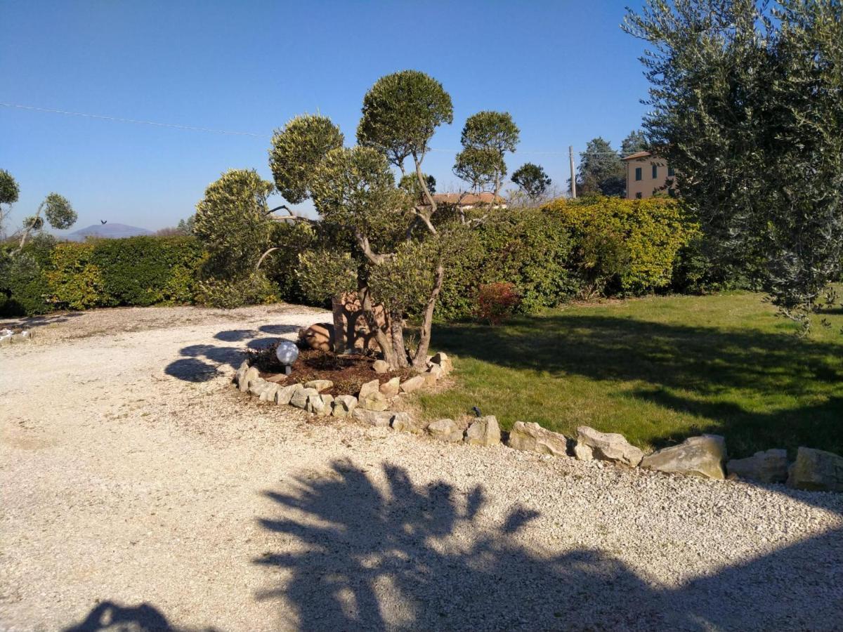 מלון La Perla Di אסיסי מראה חיצוני תמונה